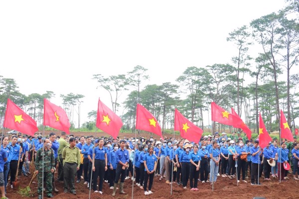 Đắk Nông ra quân trồng 25.000 cây thông tại xã Quảng Sơn, huyện Đắk Glong